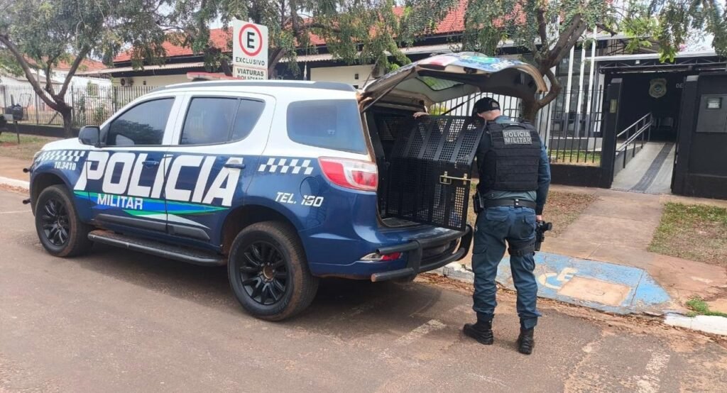 Indivíduo de 40 anos detido por direção perigosa e embriaguez em Ivinhema