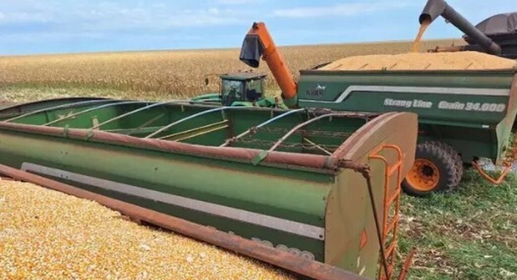 Mato Grosso do Sul se destaca como 5º maior produtor de grãos em safra histórica