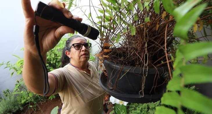 Chikungunya avança em MS com quase 10 mil casos confirmados