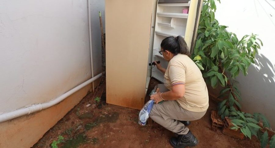 Iniciativas de combate ao Aedes aegypti são intensificadas com foco na remoção de criadouros