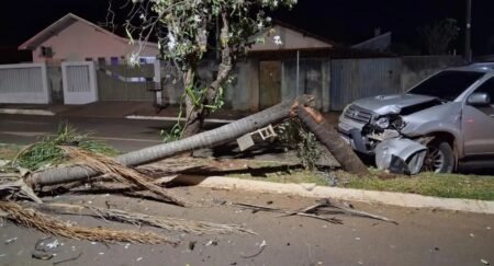 Acidente em Bataguassu: motorista desvia de celular e provoca queda de árvore