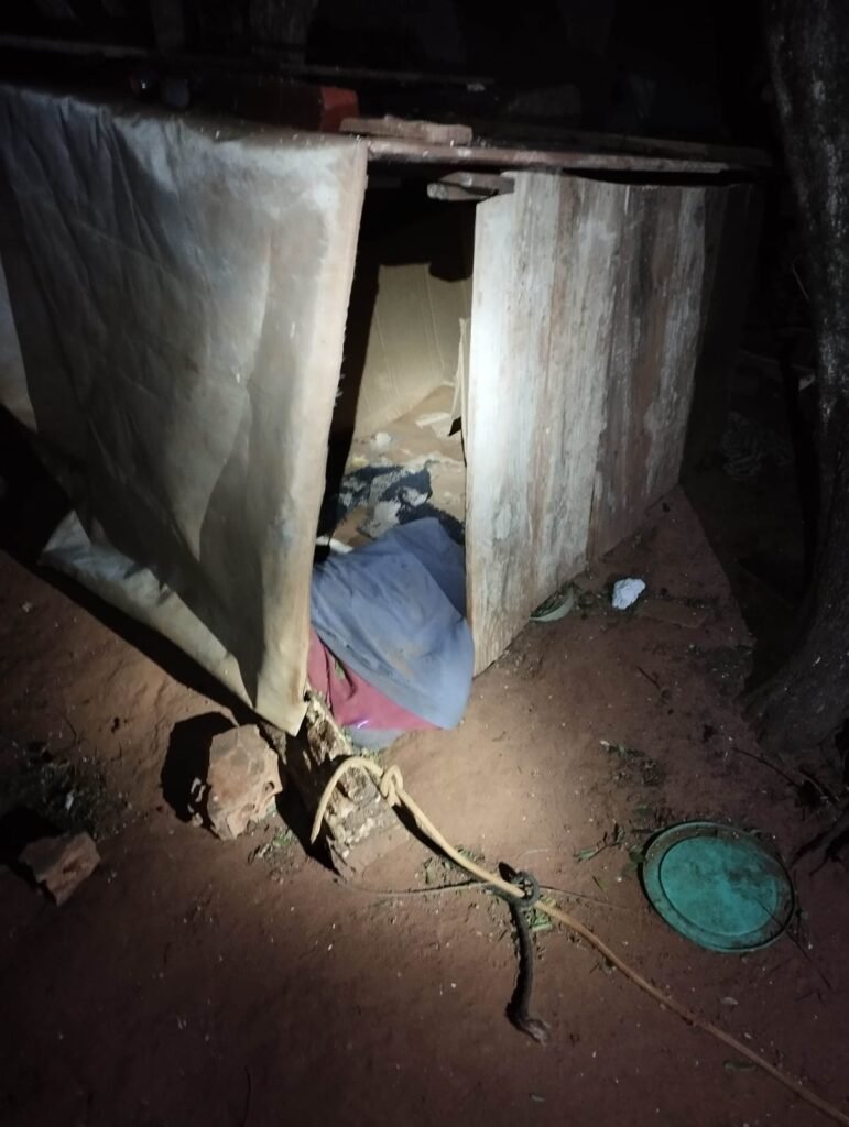 Mulher é presa por maus-tratos a animal em Amambai após denúncia de ativistas