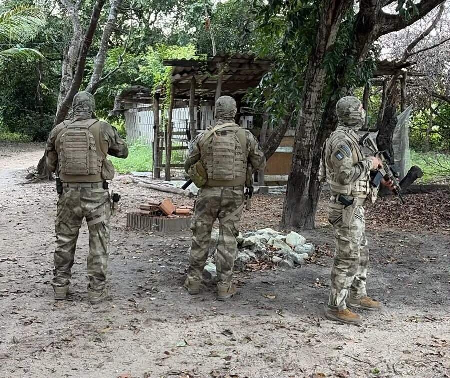 Ação policial combate tráfico e lavagem de dinheiro em três estados