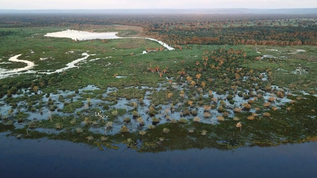 Estudo aponta aquecimento e redução de chuvas no Pantanal até 2070