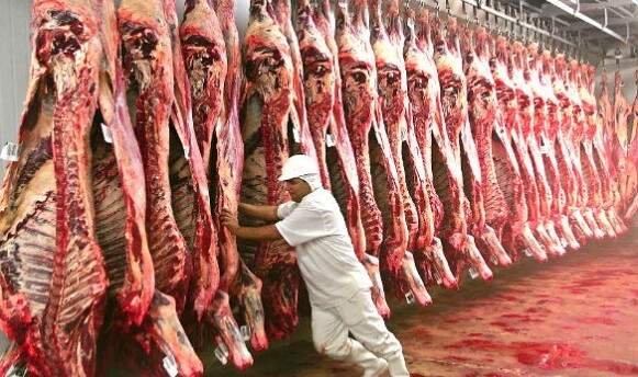 Mato Grosso do Sul registra 2,08 milhões de bovinos abatidos no primeiro semestre de 2026