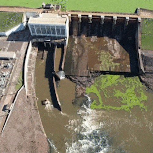 Usina Hidrelétrica realiza vertimento para controlar crescimento de plantas no Rio Pardo