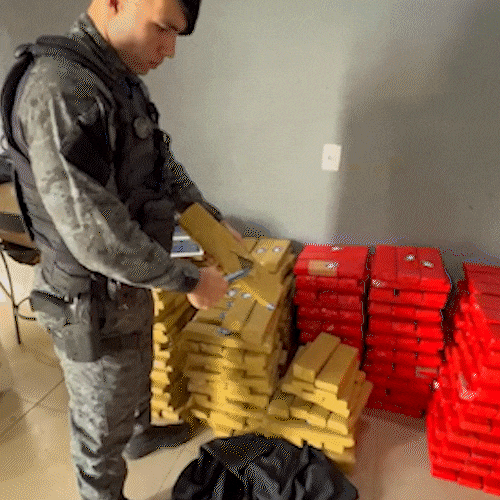 Polícia Militar encontra quase 500 quilos de maconha em residência na Vila Popular