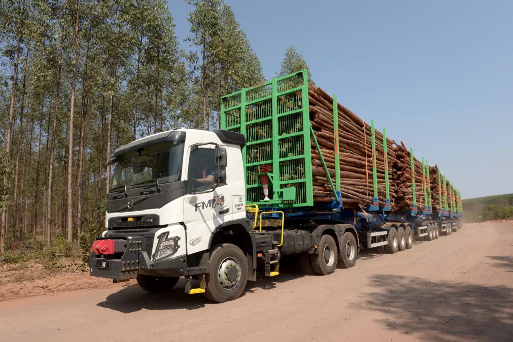 Autorização experimental para Hexatrens da Suzano em rodovias de MS