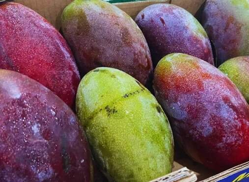 Ceasa/MS registra altas e baixas nos preços de hortifrutigranjeiros na 30ª semana de 2026