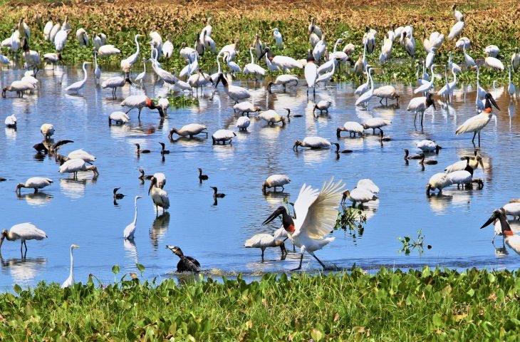 Mato Grosso do Sul reafirma sua solidez fiscal com selo de bom pagador