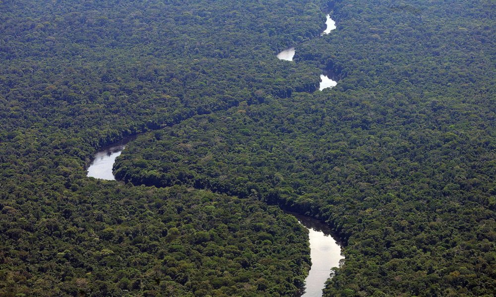 Desmatamento na Amazônia atinge menor índice em uma década no primeiro semestre