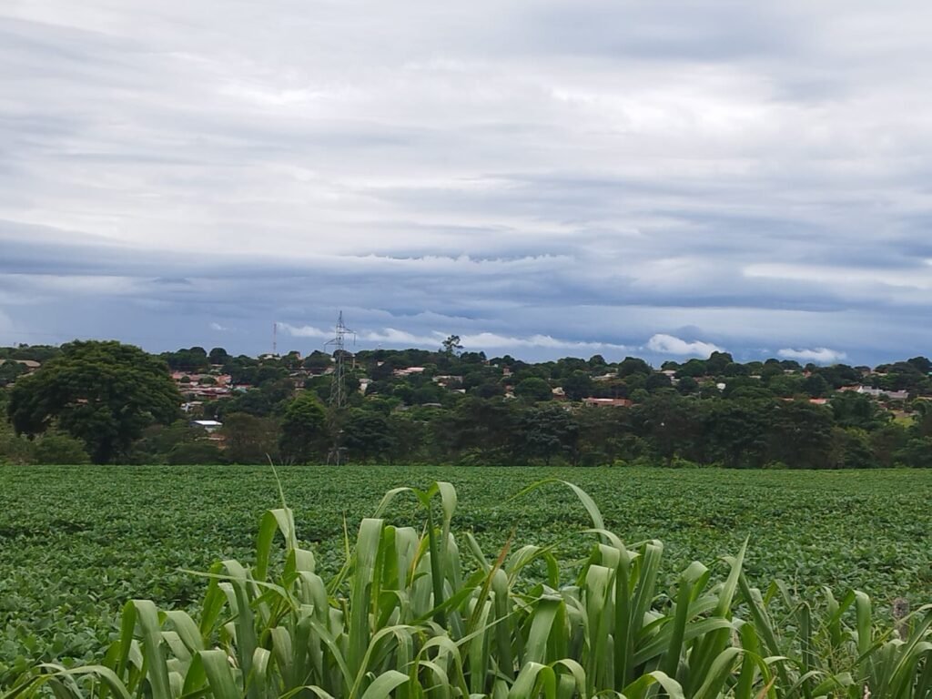 Desafios na proteção de cultivos em 2026 vão além das condições climáticas