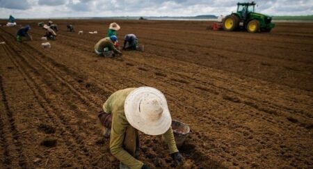 Atraso no pagamento do Seguro Rural impacta R$ 141 milhões em contratos