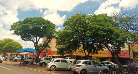 Condições climáticas previstas para Nova Andradina nesta terça-feira, 04