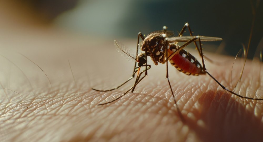 Chikungunya: MS registra quase 10 mil casos confirmados