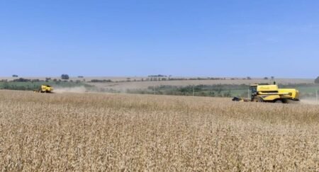 Aumento de 22% nas recuperações judiciais no setor agro e MS registra 38 solicitações