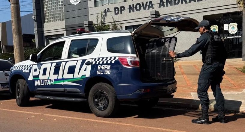 Jovem é preso após ameaçar pai e danificar veículo em Nova Andradina