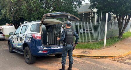 Aumento de casos de violência doméstica em Nova Andradina e Batayporã