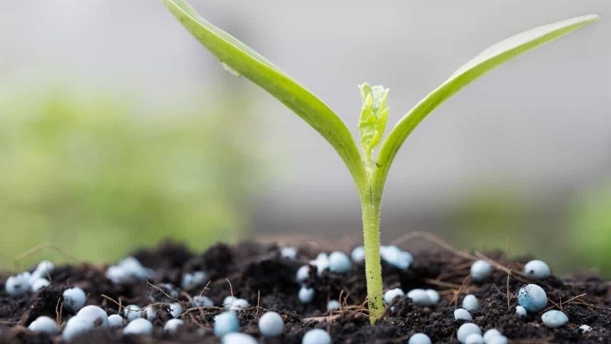 Senado aprova medidas para fortalecer a produção nacional de fertilizantes