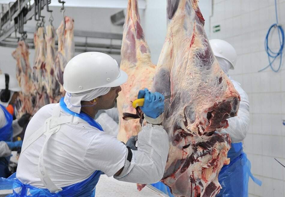 Crescimento da indústria frigorífica em Mato Grosso do Sul gera mais empregos e amplia