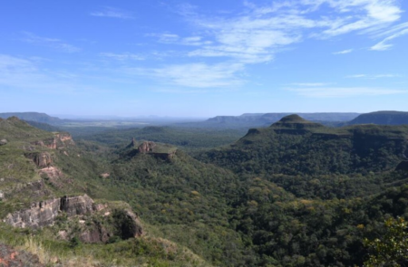 Desmatamento no Pantanal e Cerrado apresenta quedas significativas entre 2024 e 2025