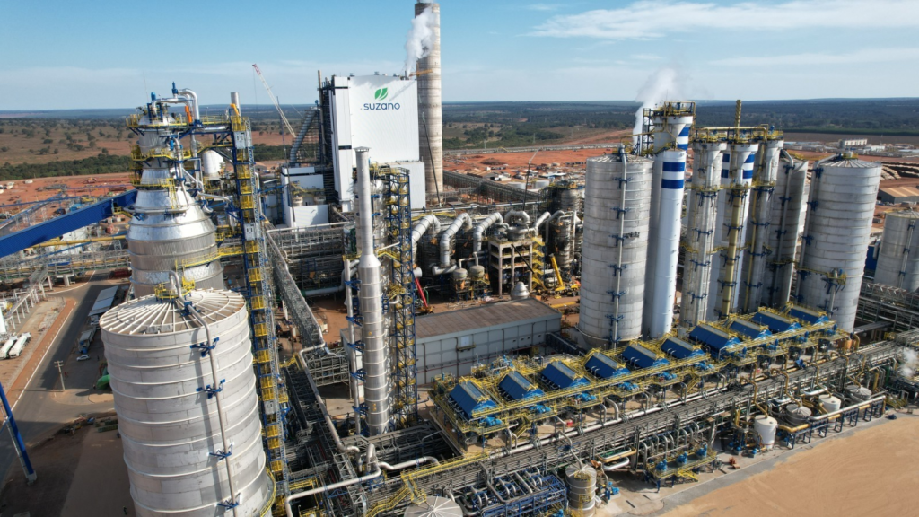 Suzano registra queda de 58% no lucro do segundo trimestre e destaca produção em MS