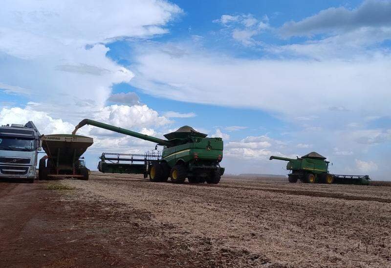 Regras de manejo para soja e milho passam a ter critérios mais rigorosos