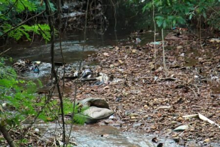 Planurb irá investigar condições do Córrego Imbirussu Após reclamações de moradores