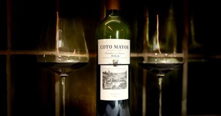 Rioja: a Fusão da Tradição e Inovação na Vinicultura Espanhola
