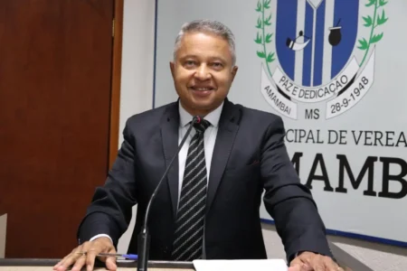 Proposta de revitalização nas rotatórias da Avenida Pedro Manvailer é apresentada na Câmara