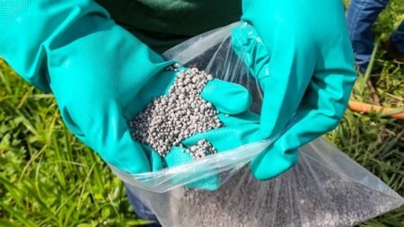Aumento nos preços de fertilizantes gera preocupação para safra 2026/27