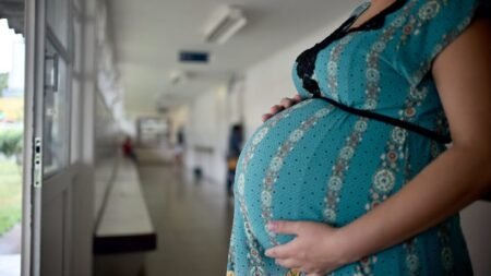 Vitória judicial de barriga de aluguel nos EUA após recusa de aborto
