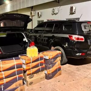 Irmãos são detidos após furto de produtos congelados avaliados em R$ 15 mil