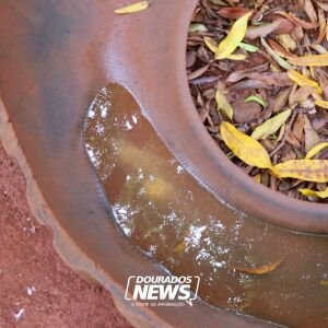 Mato Grosso do Sul registra quase 10 mil casos confirmados de chikungunya em 2026