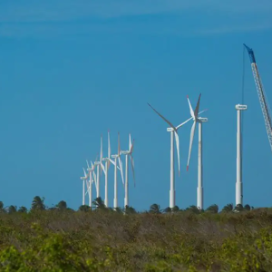 Iniciativa busca fortalecer a economia verde no Nordeste brasileiro