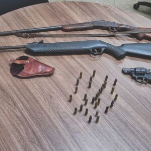Apreensão de armas ocorre em operação da Polícia Civil em Brasilândia